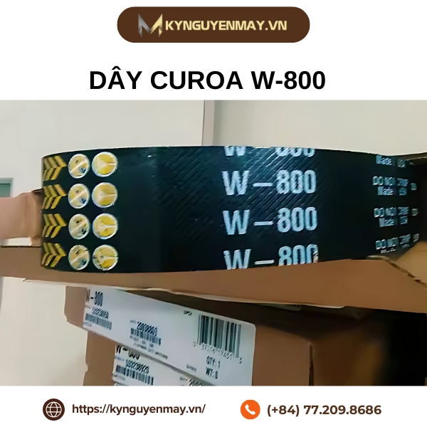 Dây curoa CONTITECH W-800