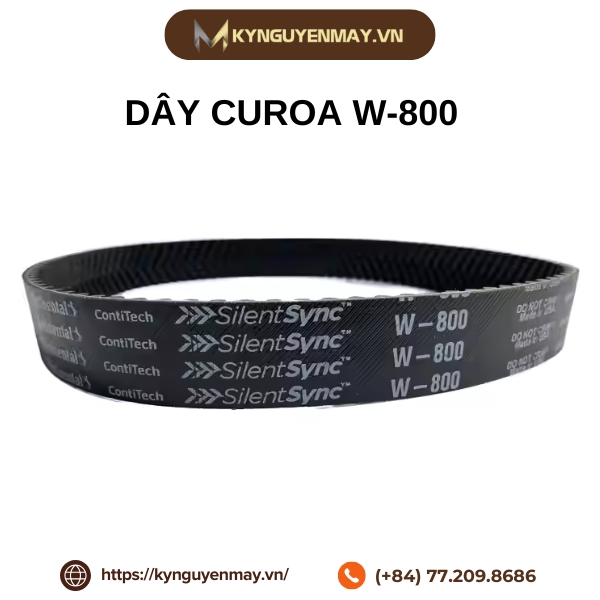 Dây curoa CONTITECH W-800