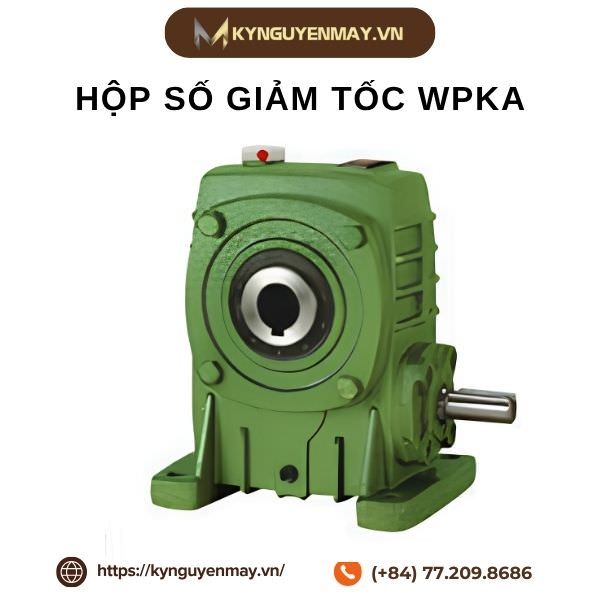 Hộp số giảm tốc WPKA