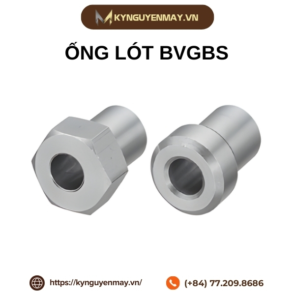 Ống lót BVGBS