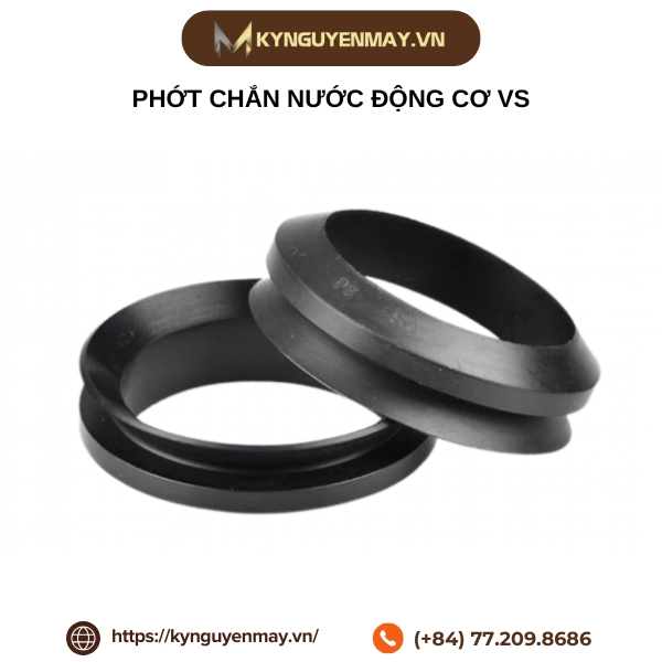 Phớt chắn nước động cơ VS