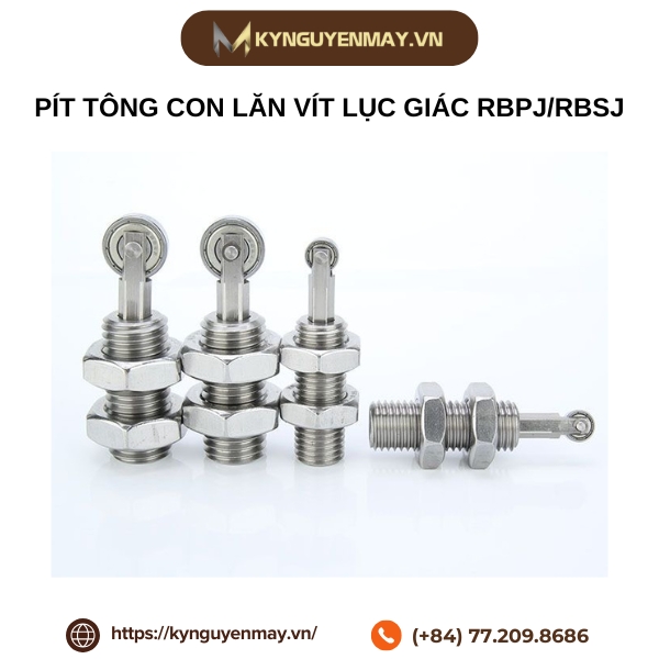 Pít tông con lăn vít lục giác RBPJ/RBSJ