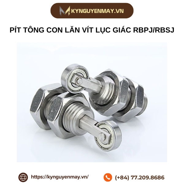 Pít tông con lăn vít lục giác RBPJ/RBSJ