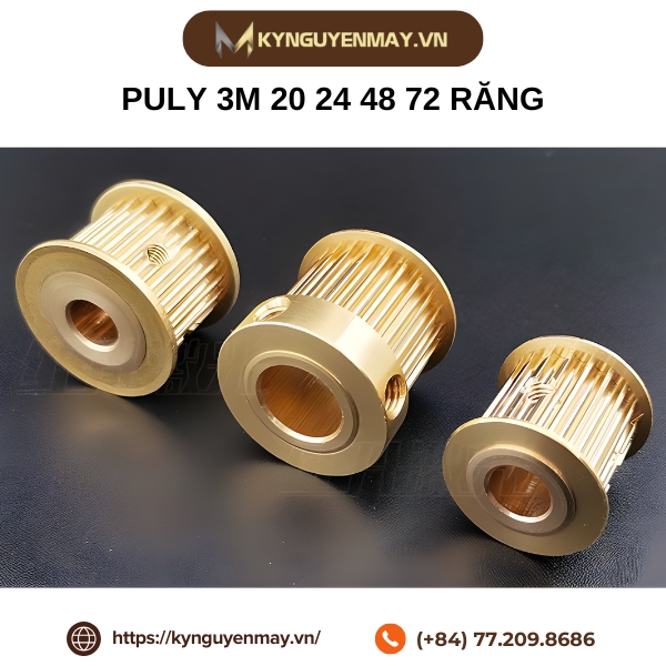Puly 3M 20 24 48 72 răng