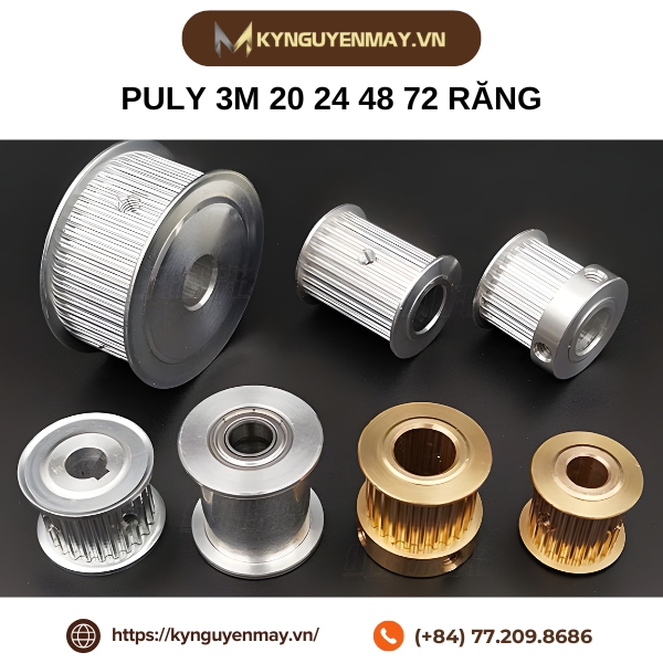 Puly 3M 20 24 48 72 răng