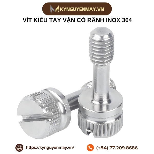 Vít kiểu tay vặn có rãnh inox 304