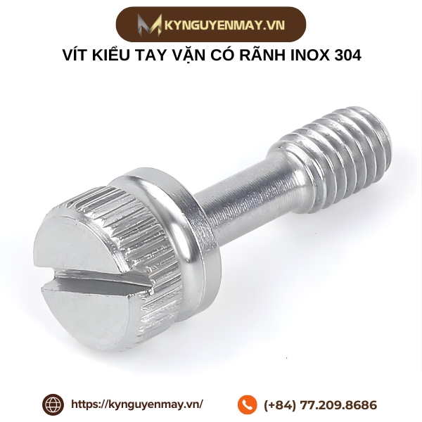Vít kiểu tay vặn có rãnh inox 304