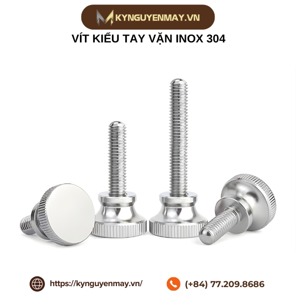 Vít kiểu tay vặn inox 304