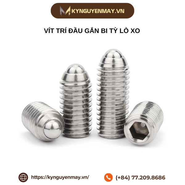 Vít trí đầu gắn bi tỳ lò xo