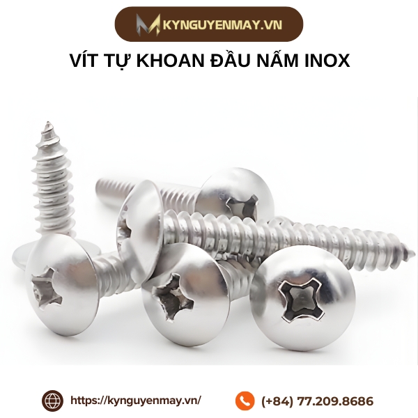 Vít tự khoan đầu nấm inox