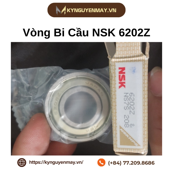 Bạc đạn NSK 6202