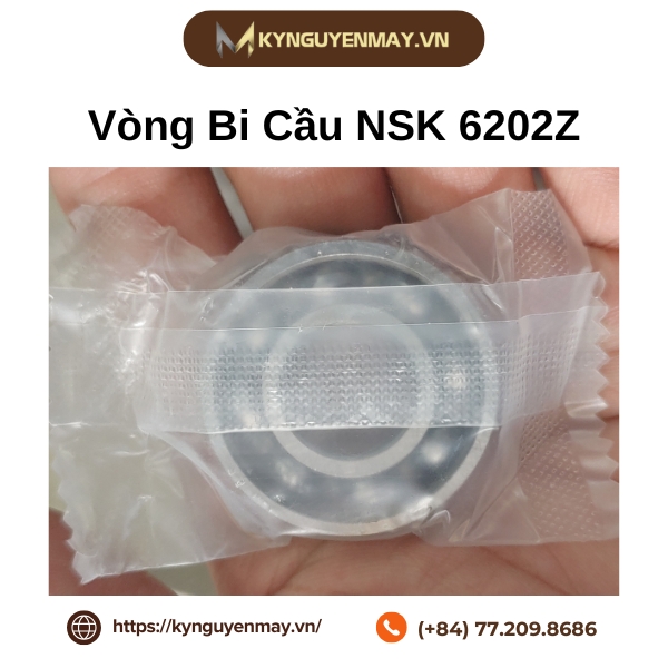 Bạc đạn NSK 6202