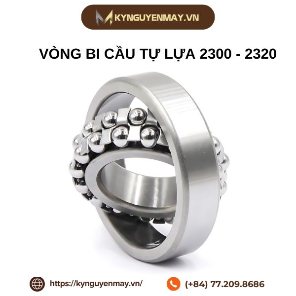 Vòng bi cầu tự lựa 2300 - 2320