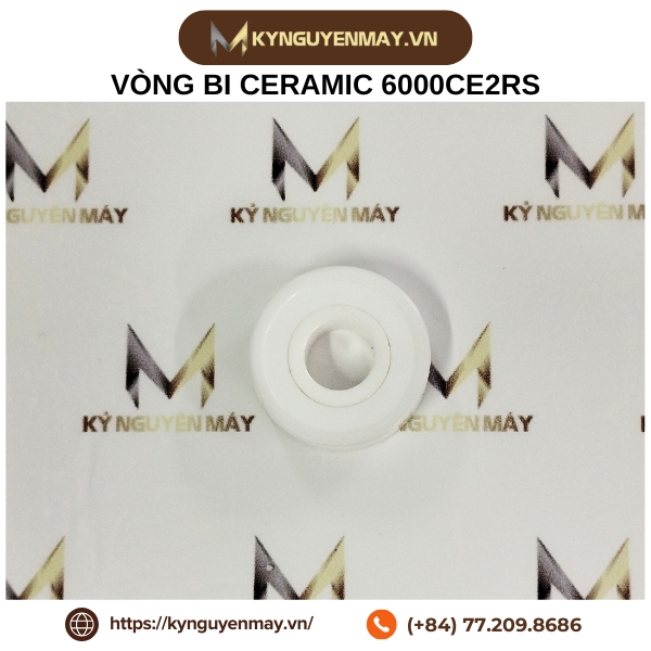 Vòng bi gốm 6000CE2RS