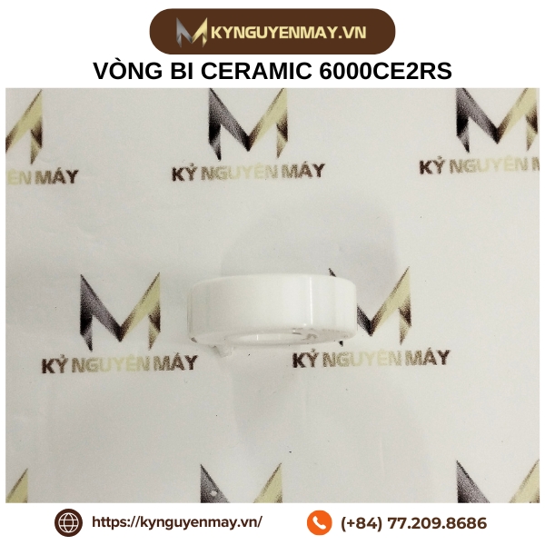 Vòng bi gốm 6000CE2RS