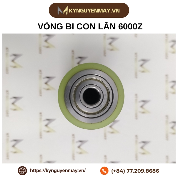 Vòng bi con lăn 6000ZZ