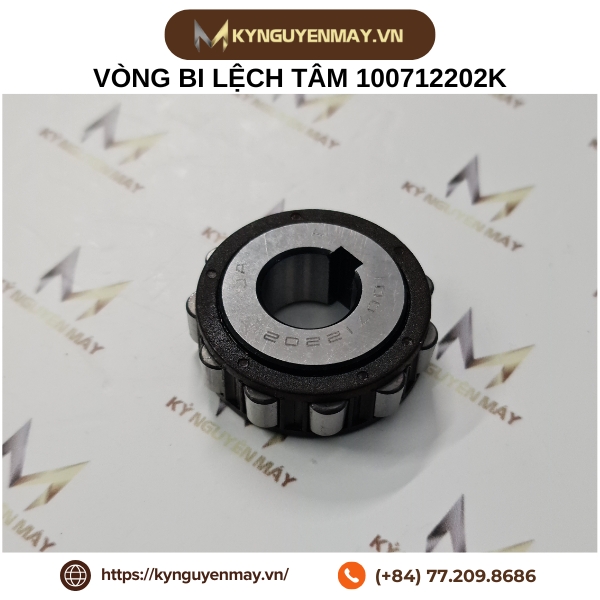 Vòng bi lệch tâm 100712202K
