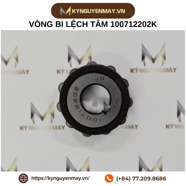 Vòng bi lệch tâm 100712202K