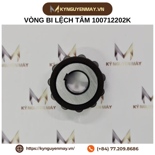 Vòng bi lệch tâm 100712202K