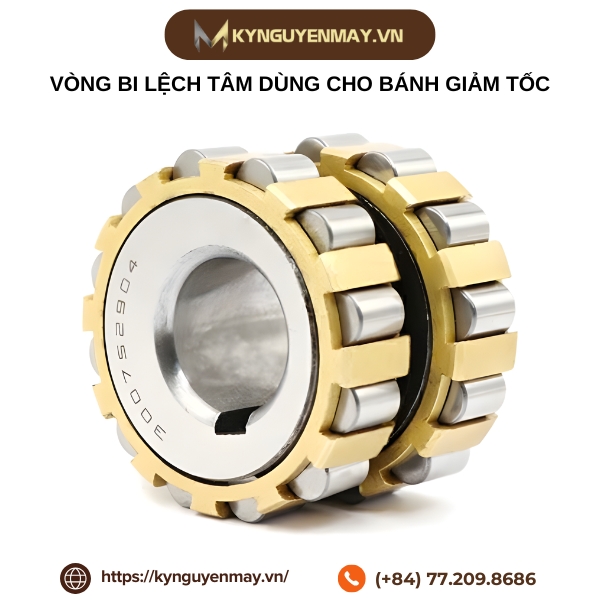 Vòng bi lệch tâm dùng cho bánh giảm tốc