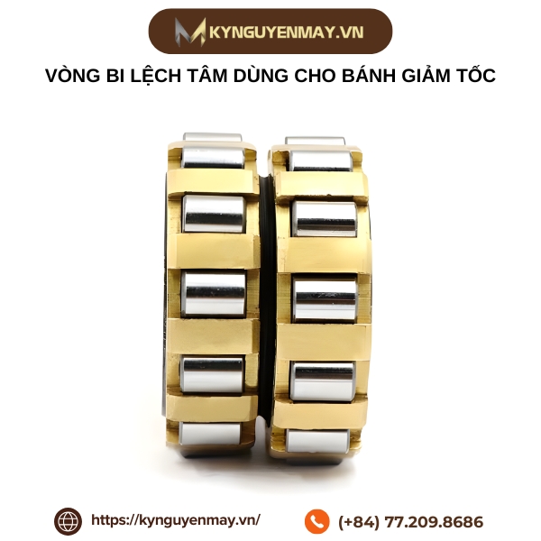 Vòng bi lệch tâm dùng cho bánh giảm tốc