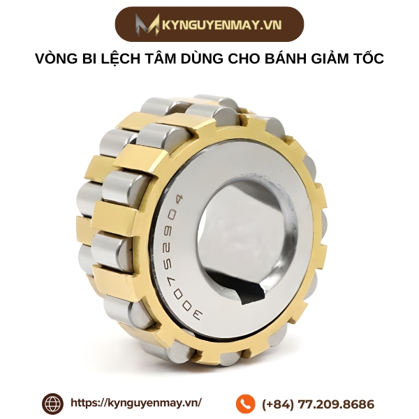 Vòng bi lệch tâm dùng cho bánh giảm tốc