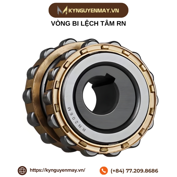 Vòng bi lệch tâm RN