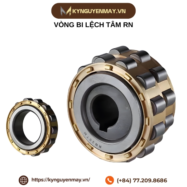 Vòng bi lệch tâm RN