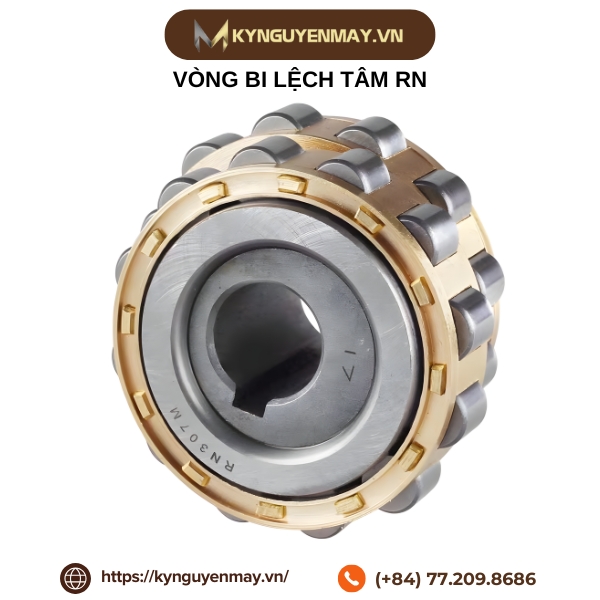 Vòng bi lệch tâm RN