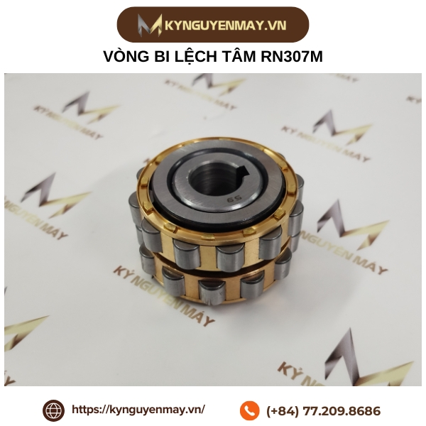 Vòng bi lệch tâm RN