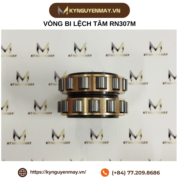 Vòng bi lệch tâm RN