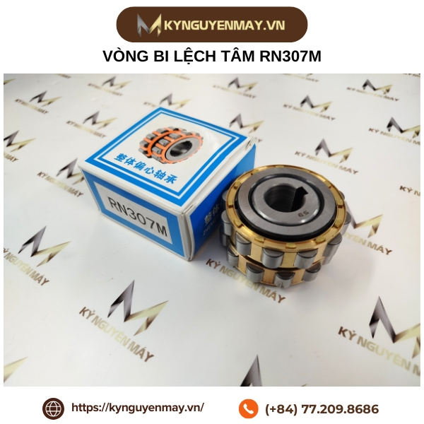 Vòng bi lệch tâm RN