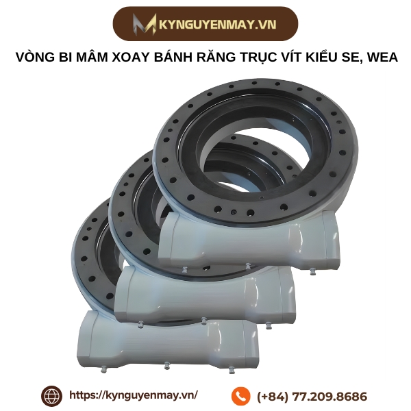 Vòng bi mâm xoay bánh răng trục vít kiểu SE, WEA