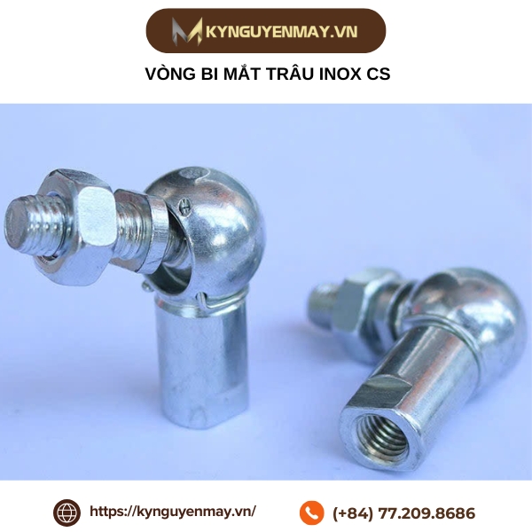 Vòng bi mắt trâu inox CS