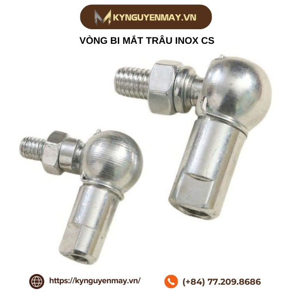 Vòng bi mắt trâu inox CS