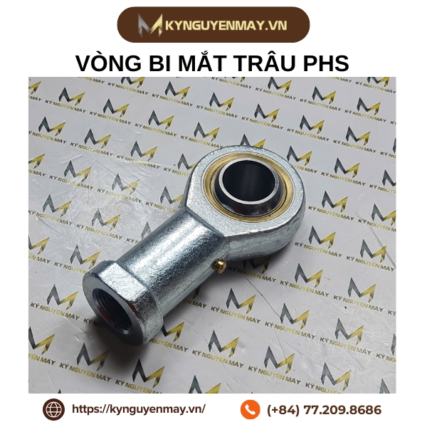 Vòng bi mắt trâu PHS | PHS10, PHS12, PHS16, PHS25