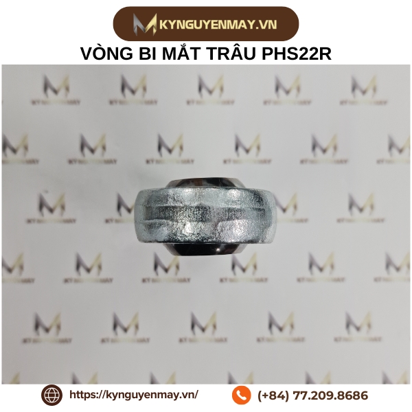 Vòng bi mắt trâu PHS22