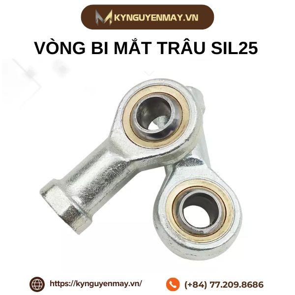 Vòng bi mắt trâu SIL25
