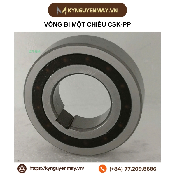 Vòng bi một chiều CSK-PP