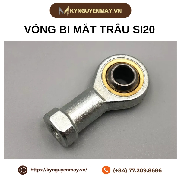 Vòng bi mắt trâu SI20