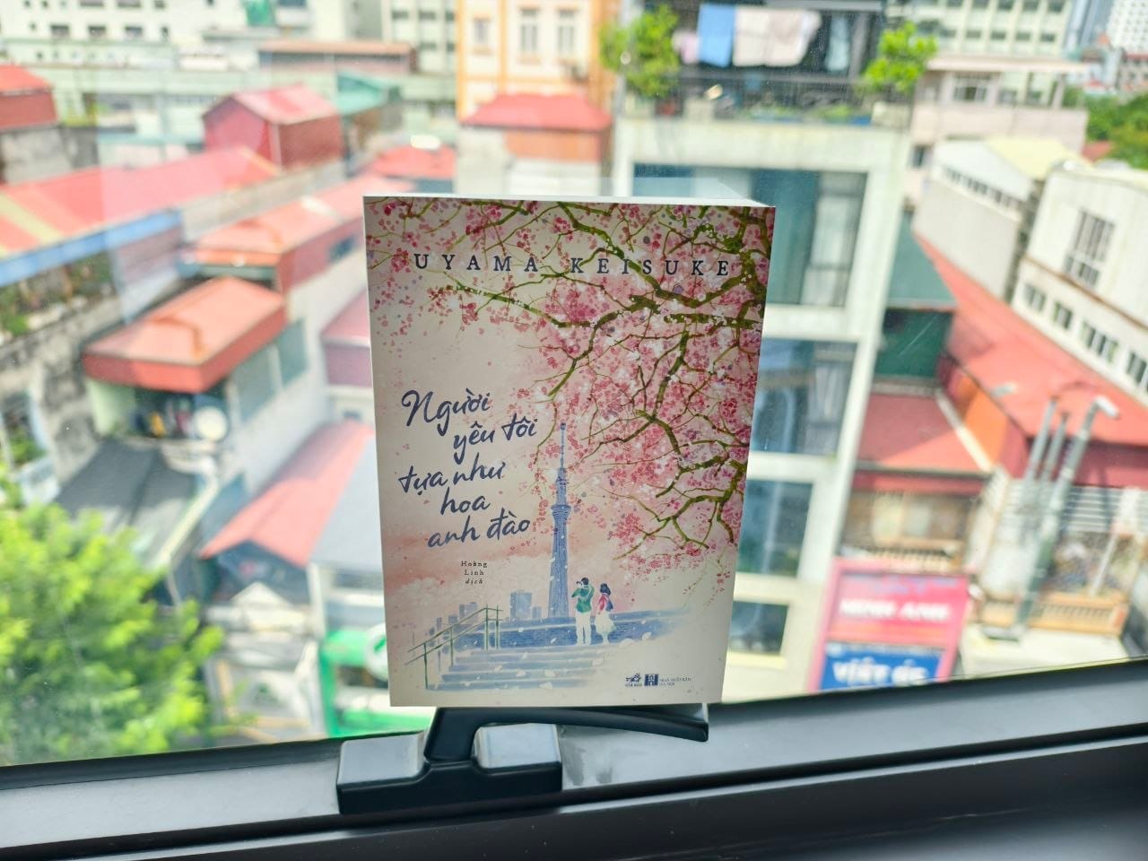 NGƯỜI YÊU TÔI TỰA NHƯ HOA ANH ĐÀO: MỘT CÂU CHUYỆN DỄ ĐOÁN, NHƯNG KHÔNG DỄ BƯỚC QUA