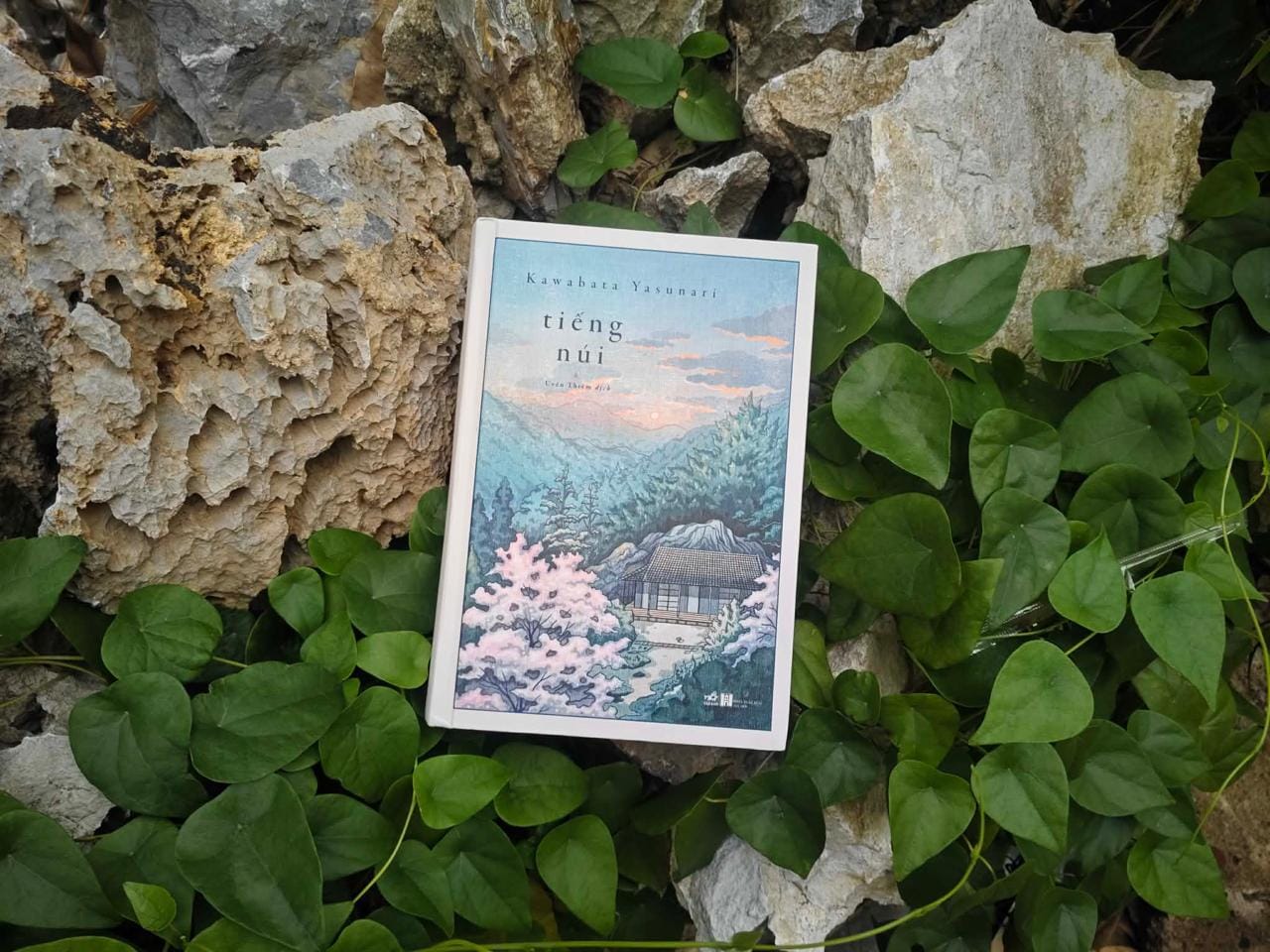 REVIEW SÁCH TIẾNG NÚI - KAWABATA YASUNARI