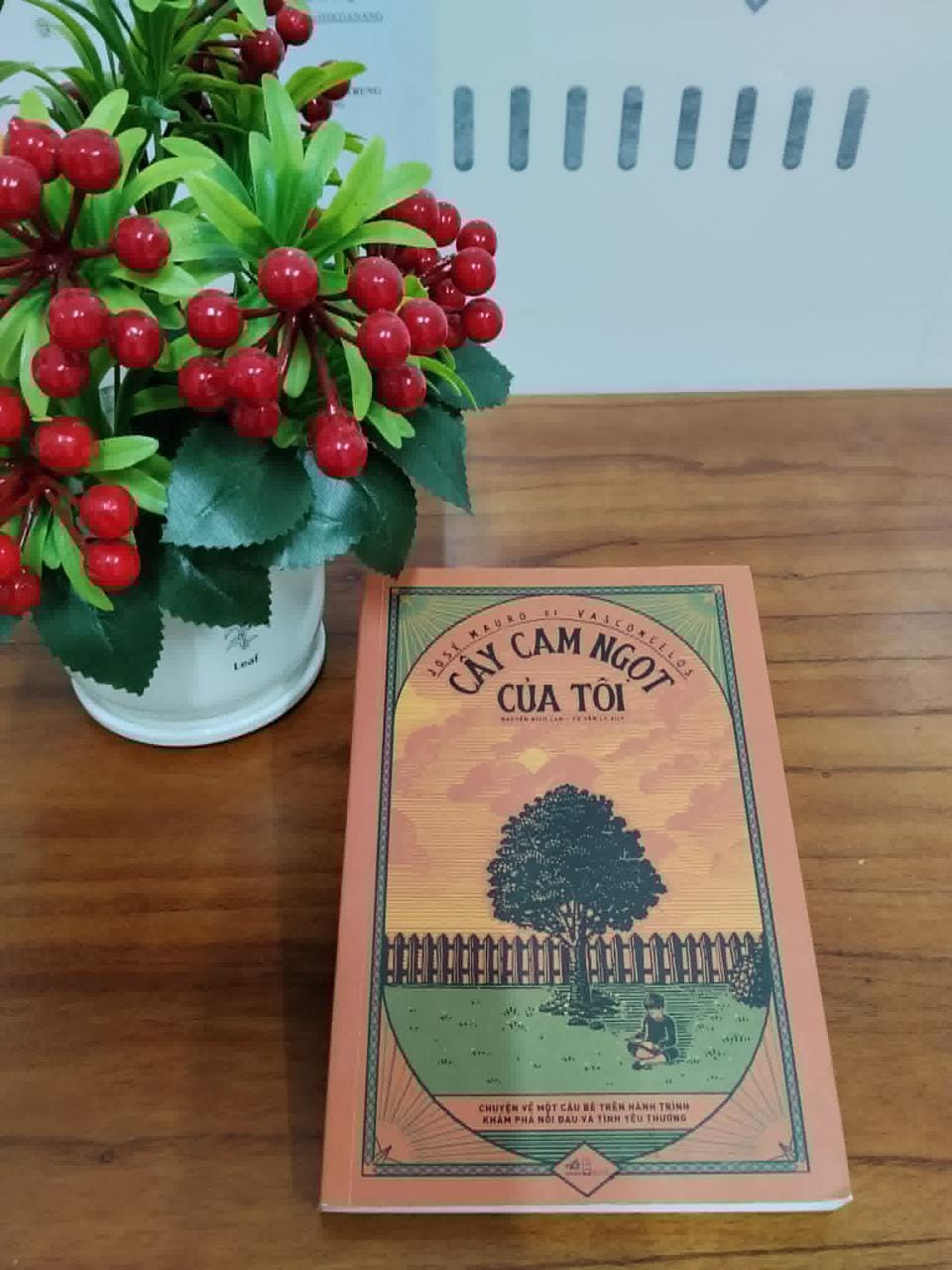 REVIEW SÁCH CÂY CAM NGỌT CỦA TÔI - JOSE MAURO DE VASCONCELOS