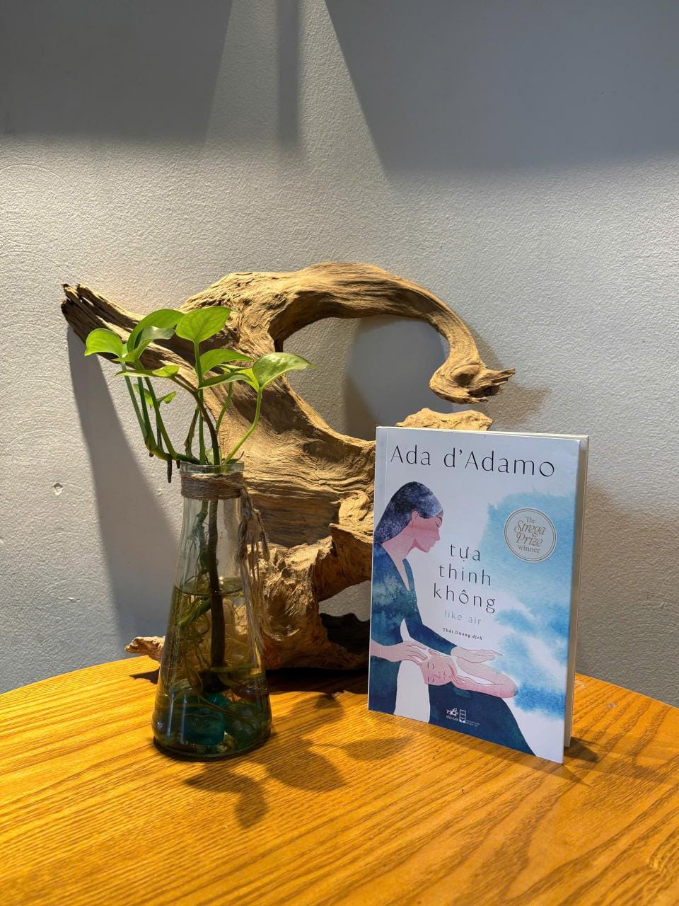 REVIEW SÁCH TỰA THINH KHÔNG - ADA D'ADAMO