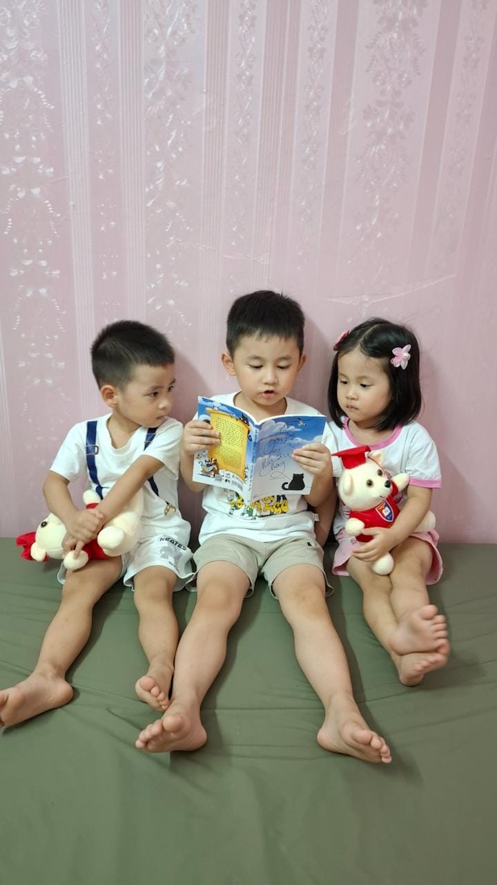 REVIEW SÁCH CHUYỆN CON MÈO DẠY HẢI ÂU BAY - LUIS SEPÚLVEDA