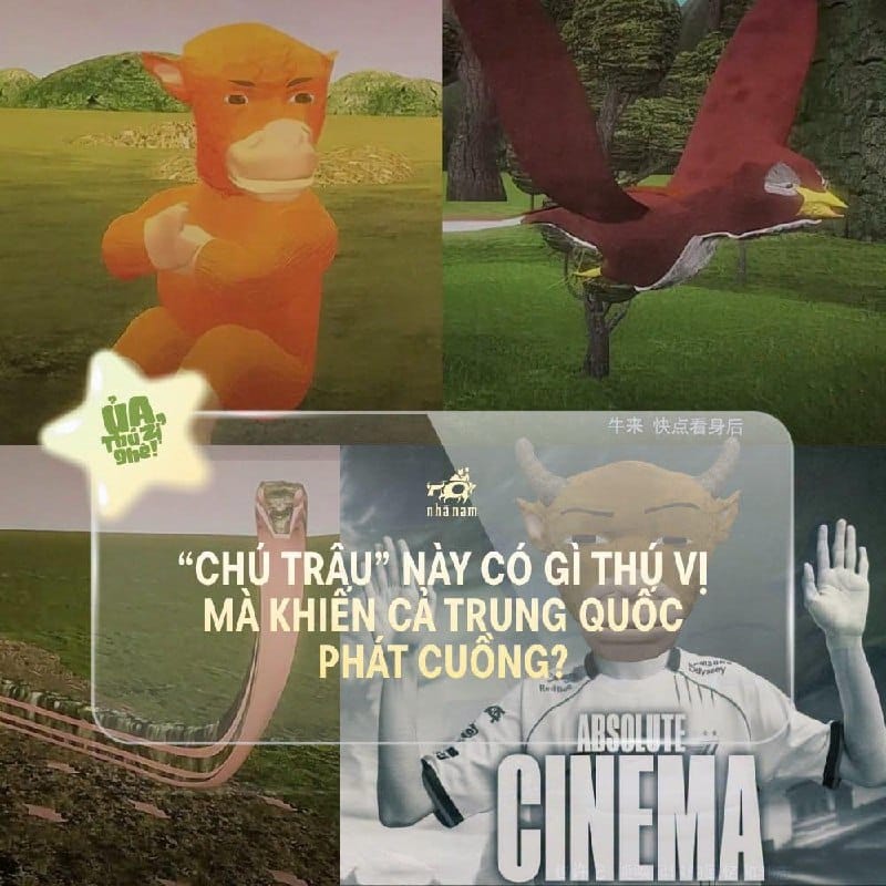 “CHÚ TRÂU” NÀY CÓ GÌ THÚ VỊ MÀ KHIẾN CẢ TRUNG QUỐC PHÁT CUỒNG?