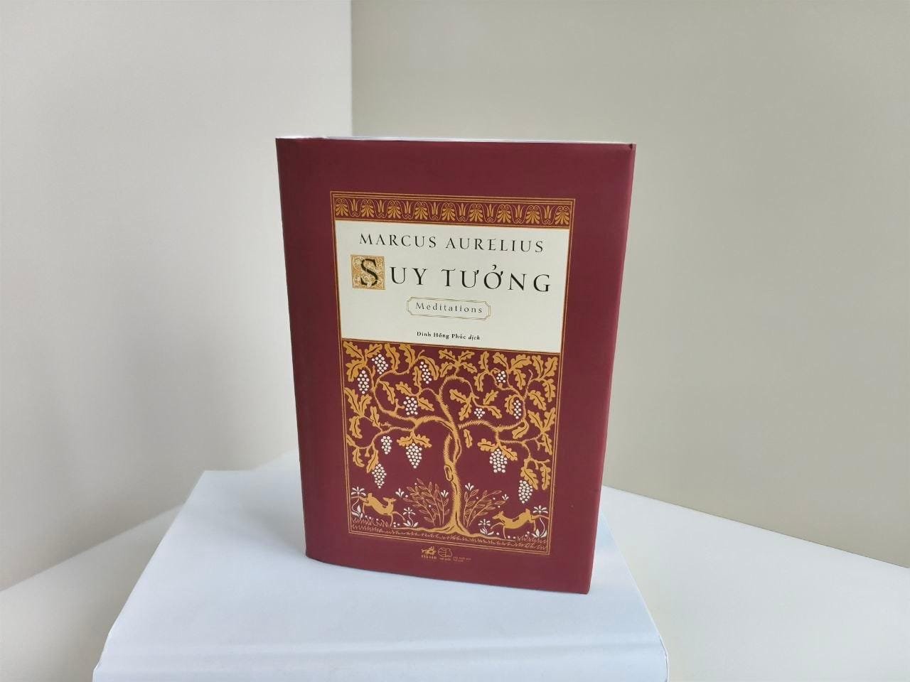 Điều gì thật sự nằm trong tầm kiểm soát của chúng ta? Câu hỏi làm nên chủ nghĩa Khắc kỷ