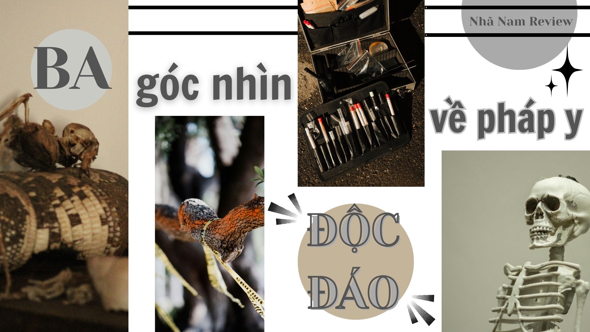 BA GÓC NHÌN ĐỘC ĐÁO VỀ PHÁP Y QUA NHỮNG CUỐN SÁCH CHẤN ĐỘNG VÀ ĐẦY NHÂN VĂN