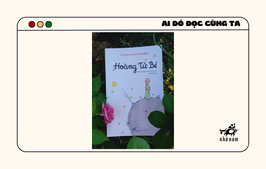 MS014 - Hoàng tử bé - Cải