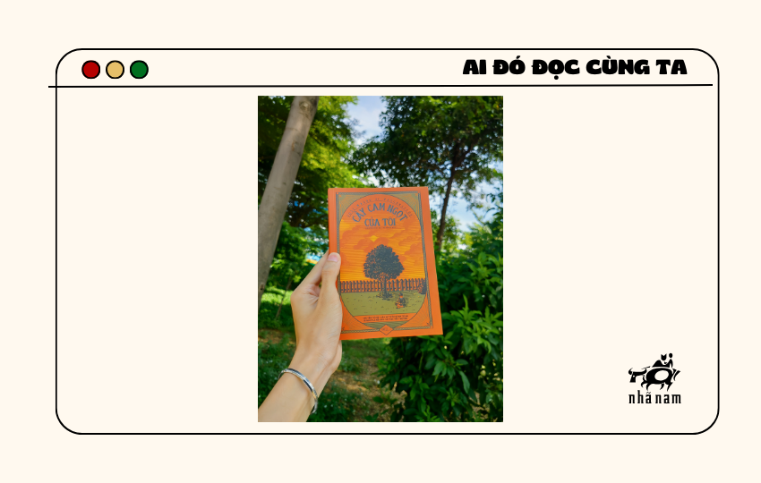 MS206 - Cây cam ngọt của tôi - Minh Trí